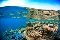$field.value